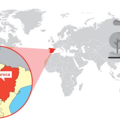 zaragoza_map-768x439